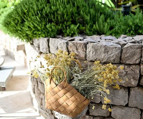 Hresc S 4* 자다르