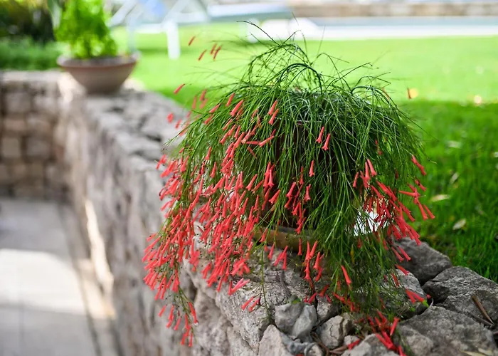 Hresc S B&B 자다르